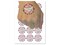 Lunar Moth Moon Phases Waning Waxing Crescent Temporary Tattoo Water Resistant Fake Body Art Set Collection (1 Sheet)